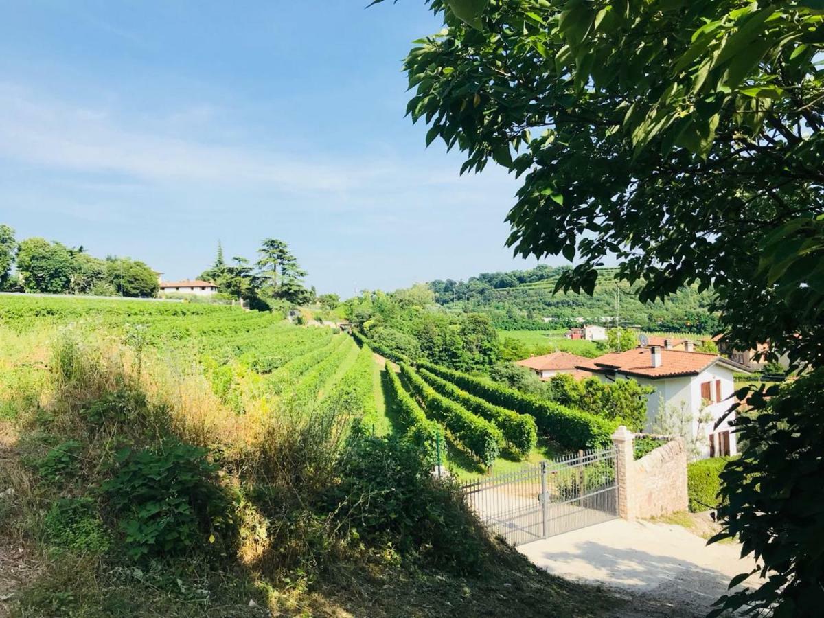 Valpolicella Homes Recioto Apartment Sant'Ambrogio di Valpolicella Bagian luar foto